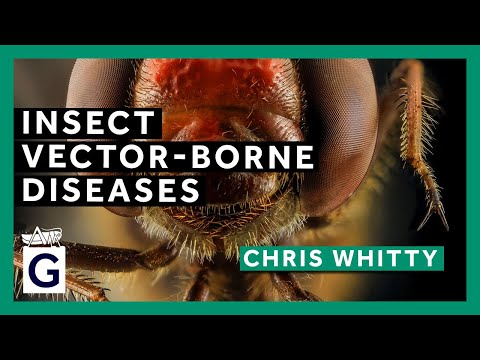Insect Vector-Borne Diseases thumbnail