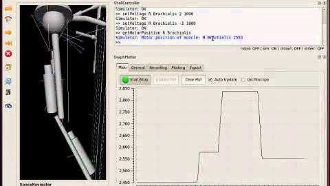 Physics-Based Modeling of an Anthropomimetic Robot