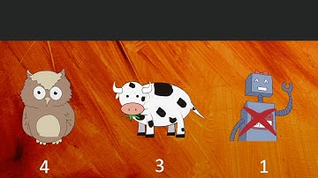 Single Transferable Vote explained