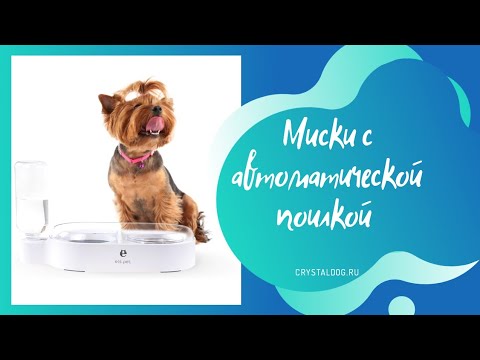 Миски с автоматической поилкой для собак