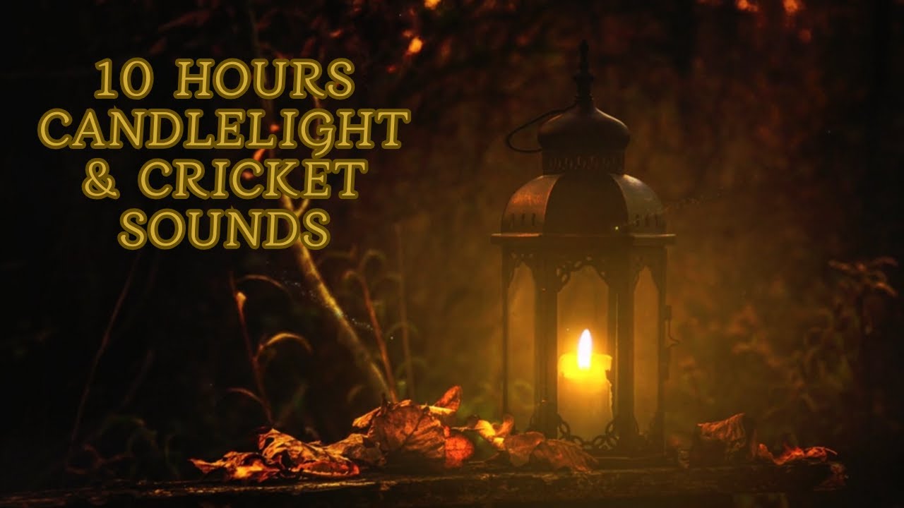 10 Hours Candlelight & Cricket Sounds | Deep Sleep, Study White Noise, Relaxing Night Ambience 