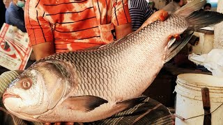 12 Kg Giant Catla Carp Fish Cutting Skills Live In Bd Fish Market Fish Cutting Skills