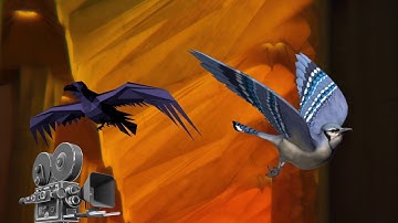 Color stabilization for multi-camera light-field imaging