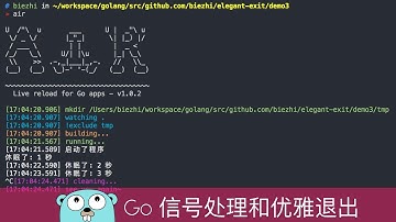 Go 的信号处理和优雅退出 / Go 编程技巧