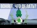 Как убрать неприятный запах в авто, на примере SKODA OCTAVIA