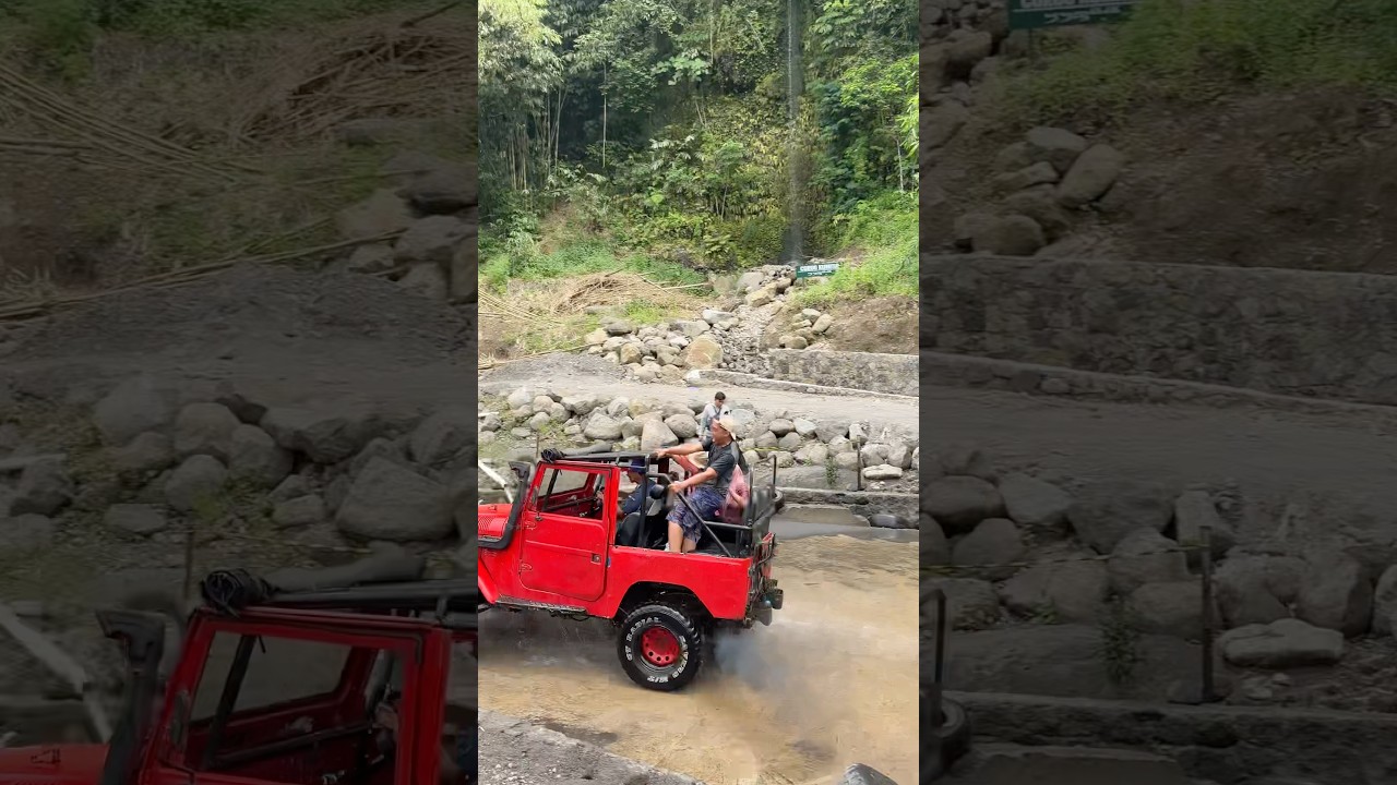 Мы счастливы! 