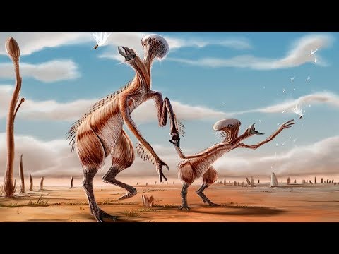 Video: 10 Possible Life Forms - Alternative View