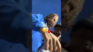 Big opp (Nlmb/Drenchgang) reminiscing Bloodhound Lil Jeff and Lil Scoom #chicagodrill  #shorts 🕊️