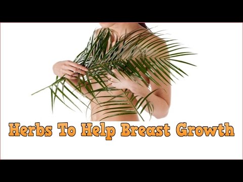 ✓✓✓ Herbs To Help Breast Growth, Bigger Breasts Without Implants, Breast Augmentation Meaning ✓✓✓ Herbs To Help Breast Growth, Bigger Breasts Without Implants, Breast Augmentation Meaning