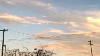 IMG 4666