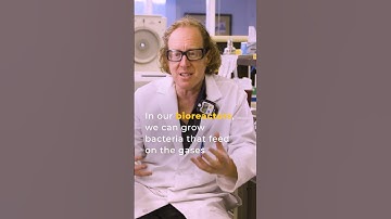 How Can CO2 Emissions Become a Valuable Resource?