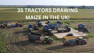 Maize 2024 in the UK (35 tractors drawing)