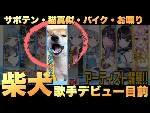 【ご報告】柴犬こむぎっす【歌手デビューに関して】