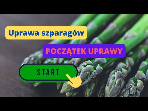 Wideo: Jak wyhodować szparagi z nasion w ogrodzie?