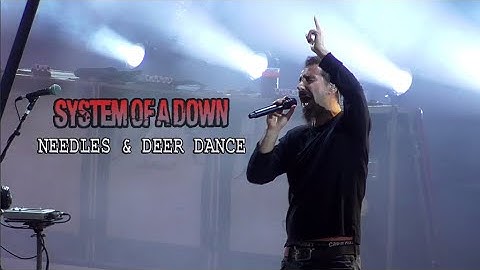 SYSTEM OF A DOWN - NEEDLES / DEER DANCE [MULTICAM] 4K UHD