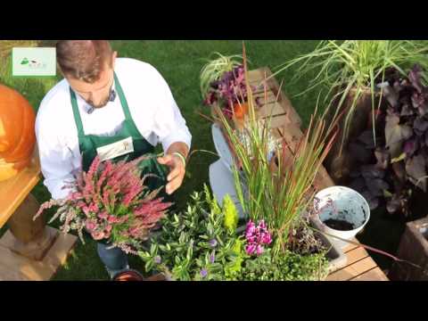 Video: Giardino Fiorito In Autunno