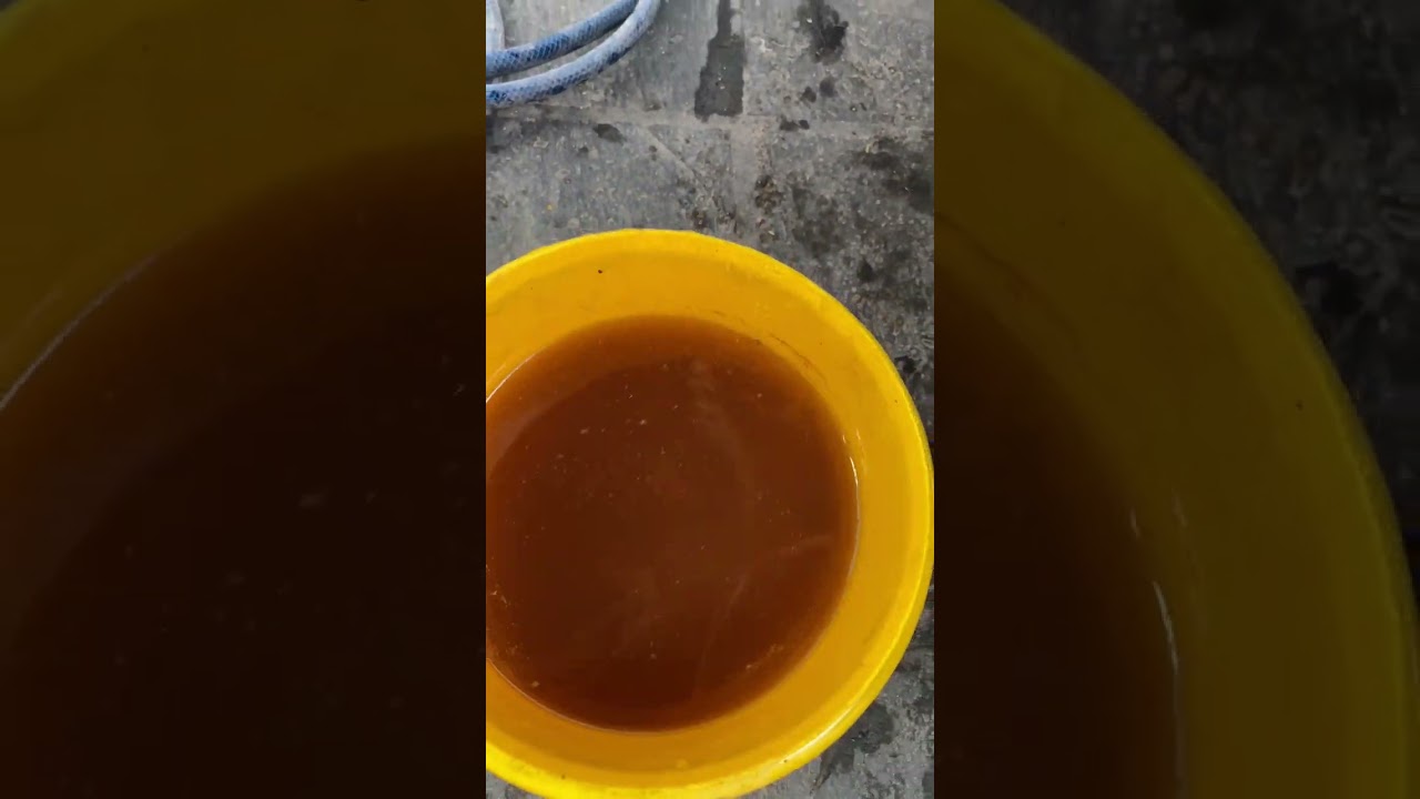 Como cambiar el agua refrigerante de un Fiat uno #fiat #service 