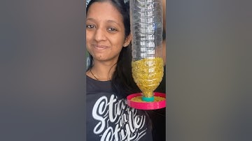 Easy bird feeder DIY at home
