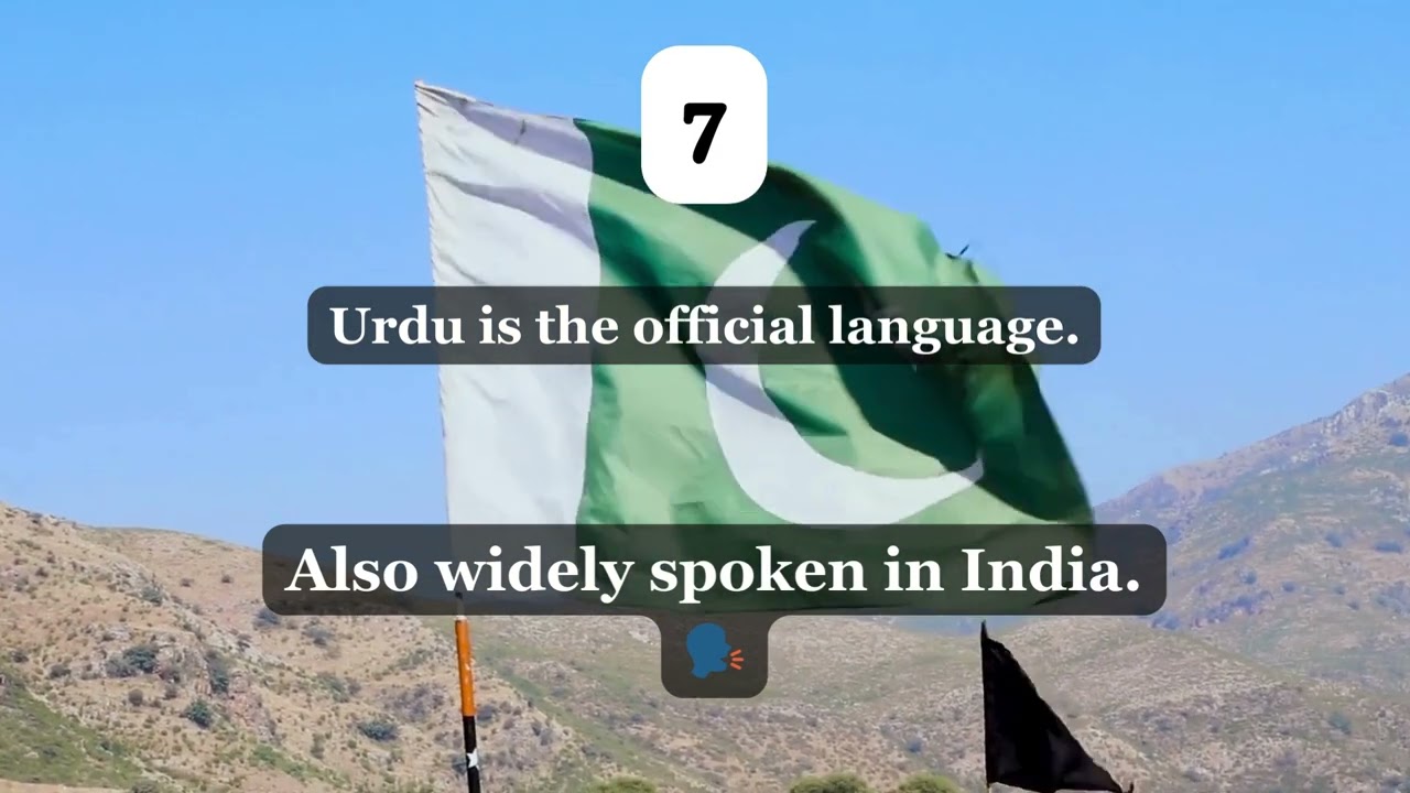 AI Pakistan Explorer - AI Pakistan Insights