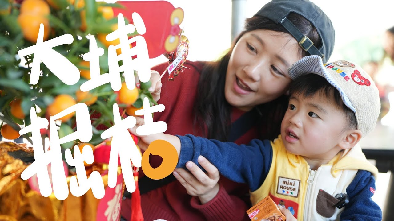 18 January 2026 大埔 掘桔