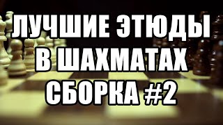 Лучшие шахматные этюды. Сборка №2. Красивые шахматные этюды. Шахматная композиция. Красивый этюд.