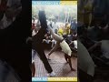 RODA DA REPÚBLICA JOGANDO Contra Mestre FLÁVIO e Professor UDA JOGANDO NA (parte 1)