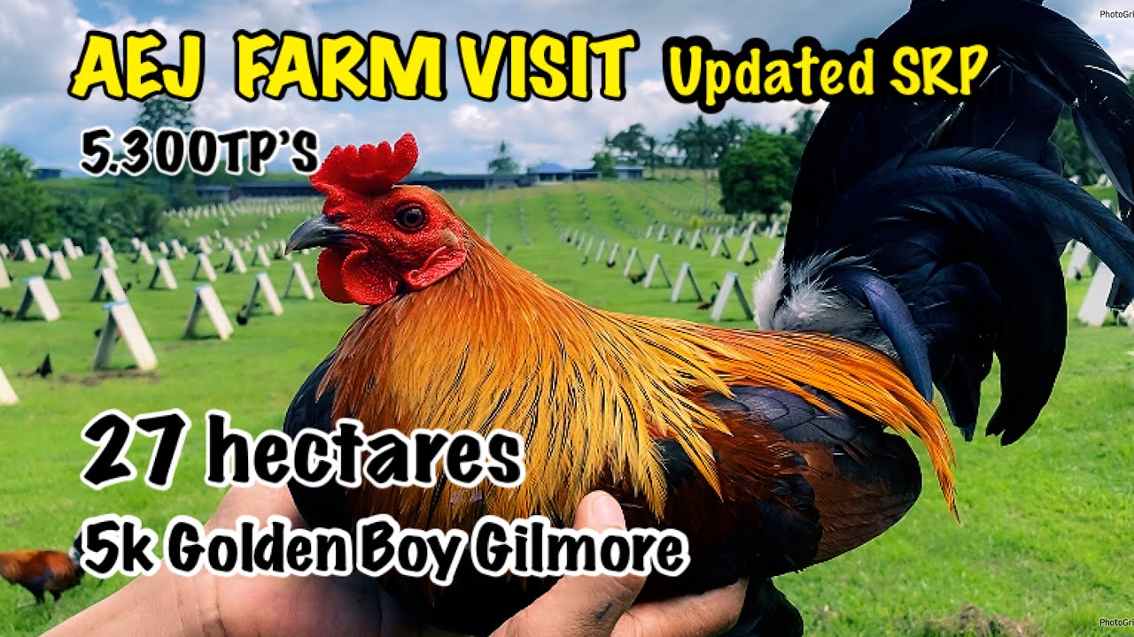 Ang malawak na Farm Ng AEJ