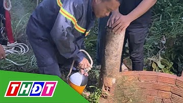 Đồng Nai: Giải cứu người đàn ông say rượu rơi xuống giếng sâu 20m | THDT