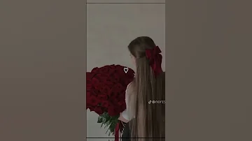 الشامي ترند جديد قلبي أنا يؤبرني رمش العين 