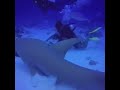 🦈little souvenir from the Maldives🦈. Take me back🙏🏝🏊🏽‍♂️🐠✈️