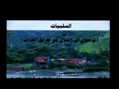 من ابحاث مادة نظرية عمارة 1 اعداد ايمن البرطي اشراف الدكتور محمد نعيم 2012 2013