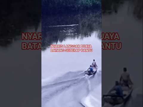 Buaya Batang Seterap Pantu Sri Aman Sarawak
