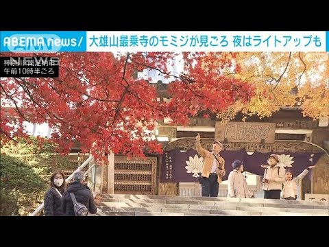 TodaiiJapanese video