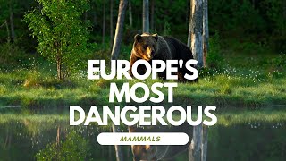 Europe's most dangerous - Brace Yourself for the Shocking Truth!