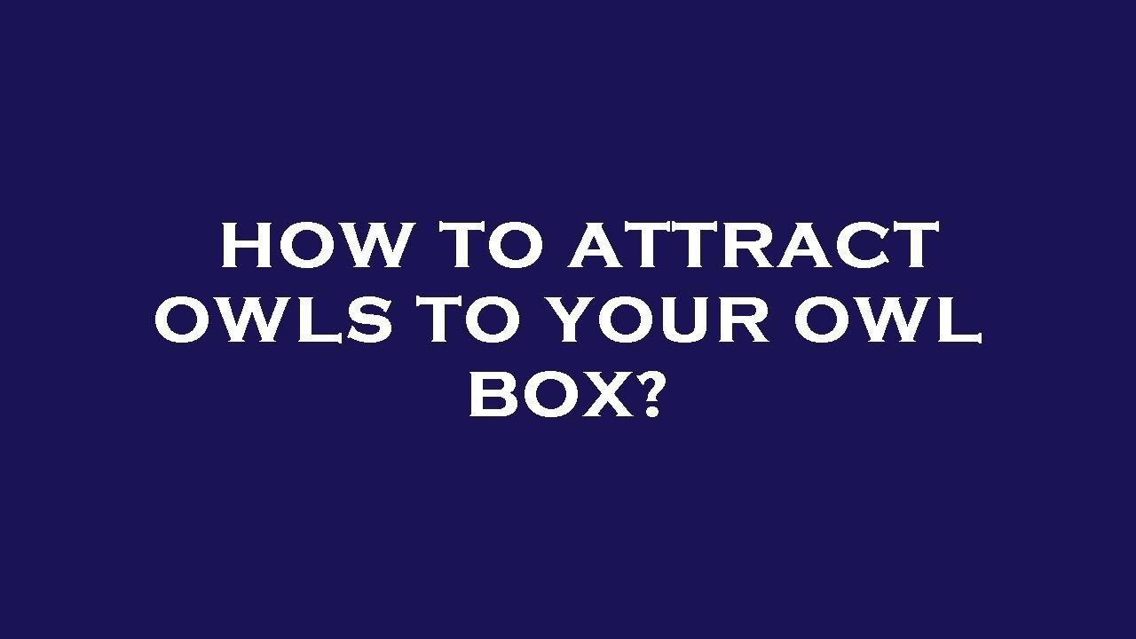 How to attract owls to your owl box? YouTube