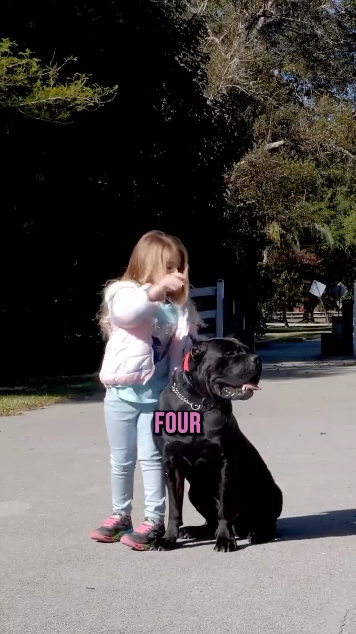 #JasonDeruloTV // Dog Training #GotPermissionToPost From @AmericanStandardK9 #SlowLow