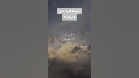سوره العنكبوت للقارئعبد الرحمن مسعد #قرآن #اكسبلور #المصحف #قران_كريم #لايك #fyp #السعودية #الاردن