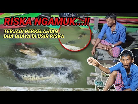 Riska ngamuk‼️Terjadi perkelahian didepan mata,dua buaya jahat di usir riska..