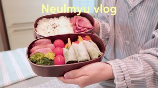 ENG) VLOG  Lunch Box Compilation Vlog of a Person Living Alone in Korea ( moked Duck Radish Rolls)
