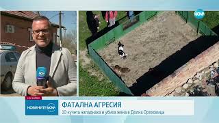 Глутница кучета уби жена в Долна Оряховица - Новините на NOVA (30.03.2023)