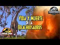 Vida y Muerte de la PRIMER BRACHIOSAURUS de Jurassic Park y Jurassic World
