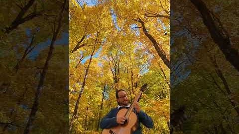 III mov, Sonata (Guerra-Peixe)Recording available on Spotify, Apple Music, Deezer and all music apps