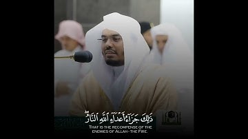 سورة فصلت - بصوت القارئ ياسر الدوسري