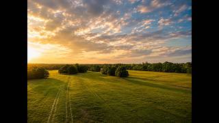 57.54 Acres Barnwell SC