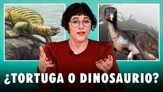 ¡Creyeron que este dinosaurio era una tortuga gigante!