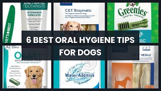Oral hygiene for dogs: 6 Best Oral Hygiene Tips For Dogs