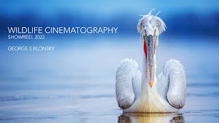 Wildlife Photography & Cinematography Showreel 2022