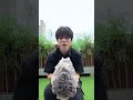 ૮ ෆ ´ ˕ ` ෆ ა