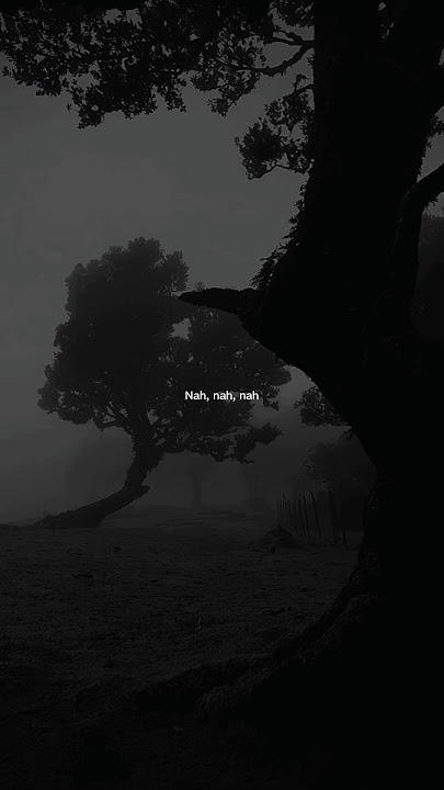 DJ Snake - Let Me Love You (Lyrics) ft. Justin Bieber | Aesthetic #justinbieber