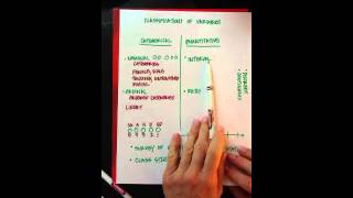 Classifications of variables
